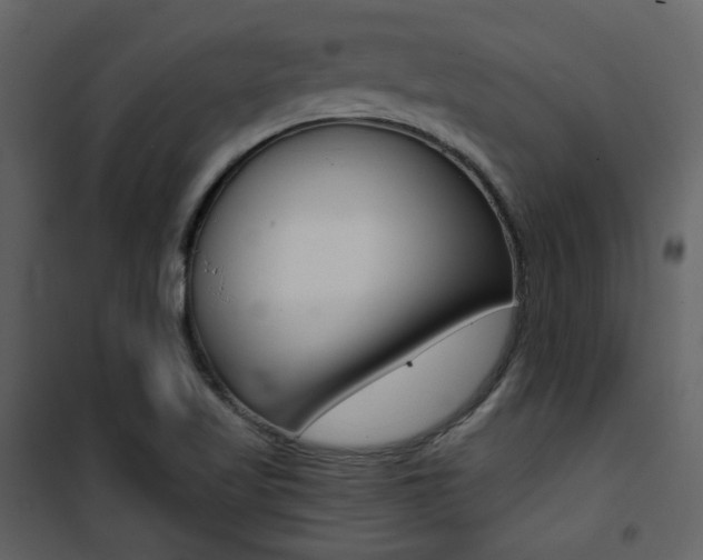 X0000101951509200807171121