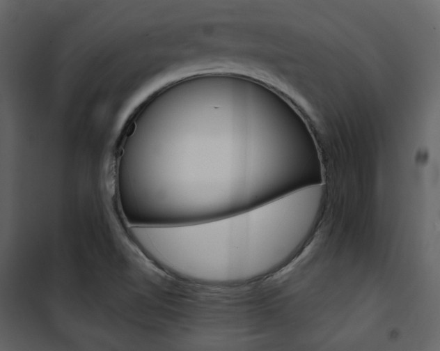 X0000101951510200807171121