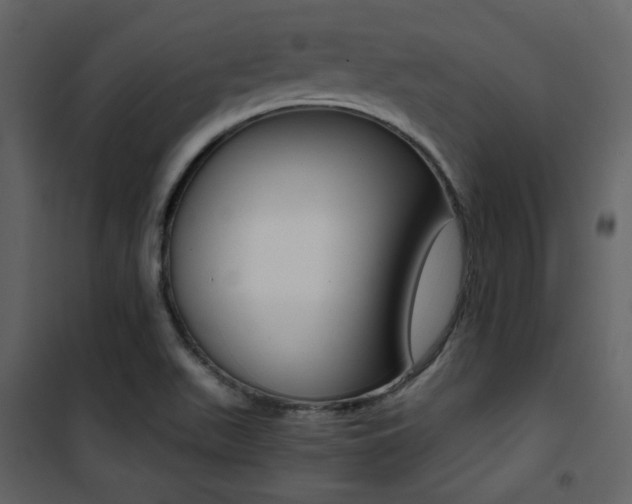 X0000101951511200807171121
