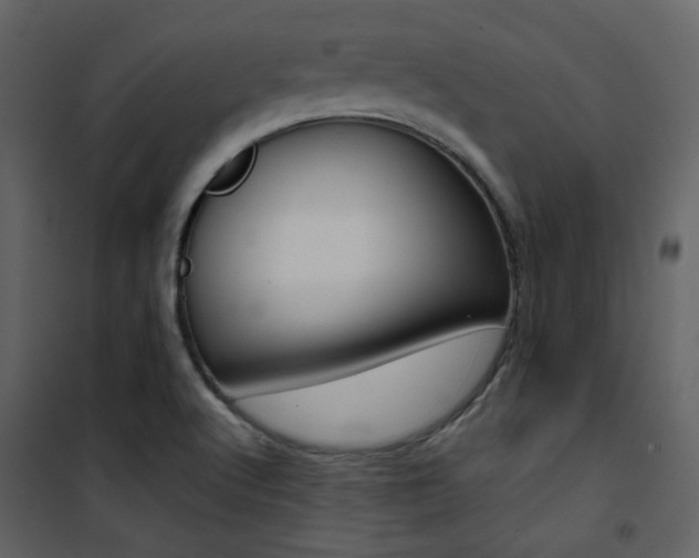 X0000101951512200807171121