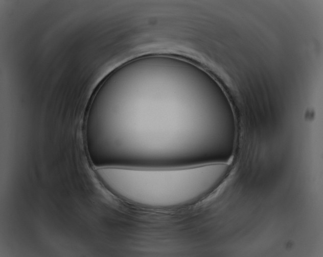 X0000101951513200807171121