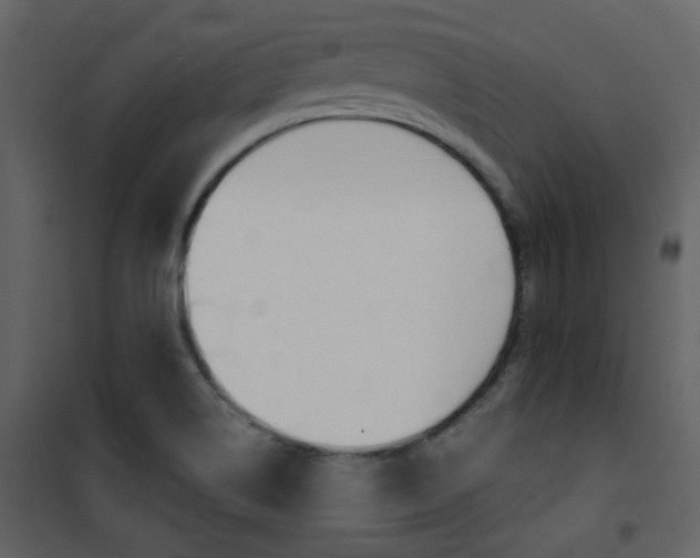 X0000101951514200807171121
