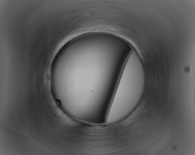 X0000101951515200807171121