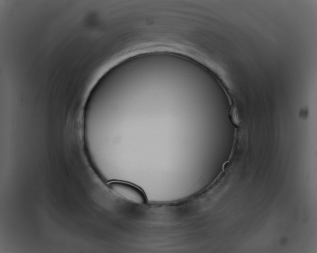 X0000101951516200807171121