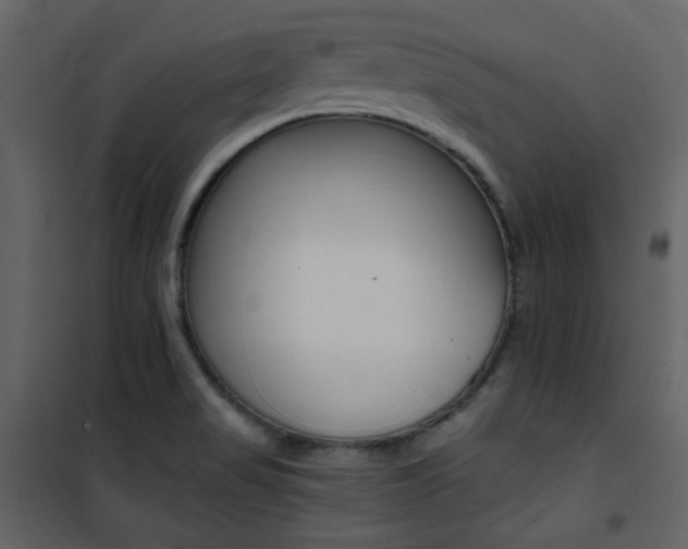 X0000101951517200807171121