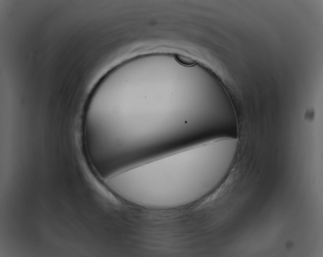X0000101951518200807171121