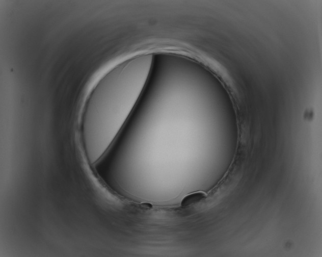 X0000101951520200807171121
