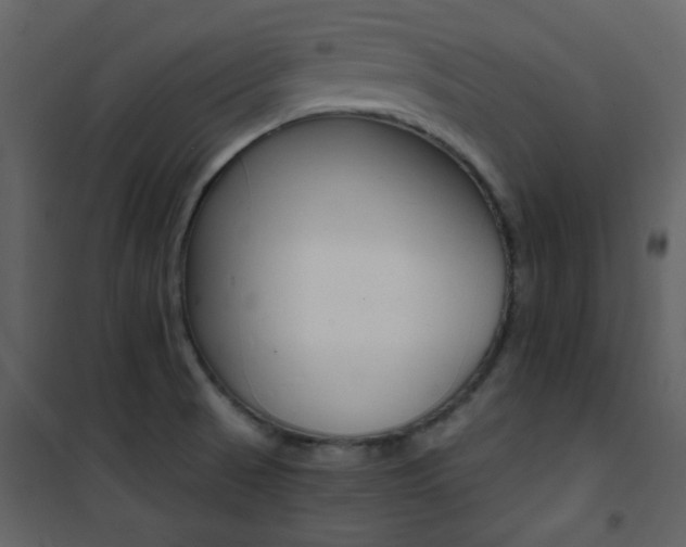 X0000101951521200807171121