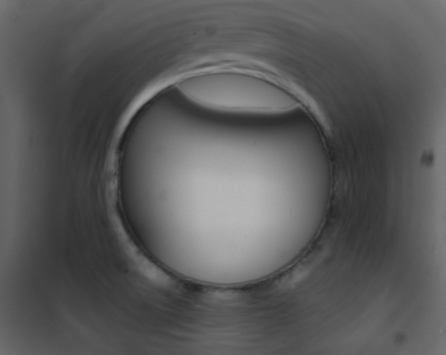 X0000101951522200807171121