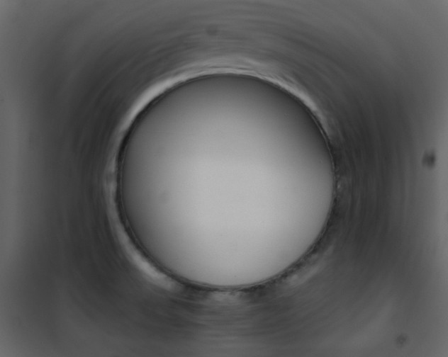 X0000101951523200807171121