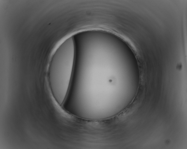 X0000101951524200807171121