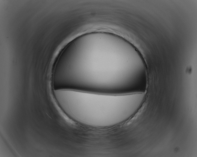 X0000101951525200807171121