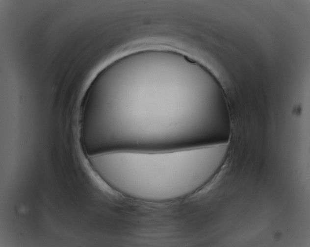 X0000101951526200807171121