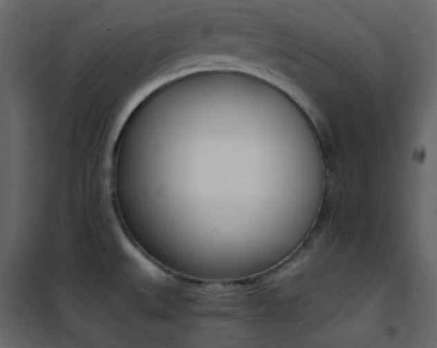 X0000101951527200807171121