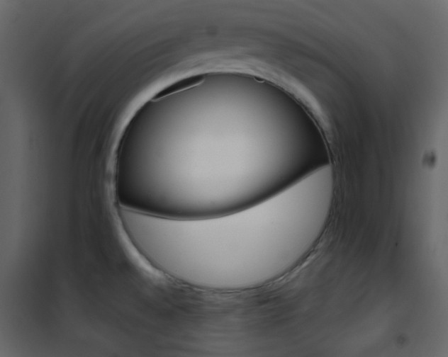 X0000101951528200807171121