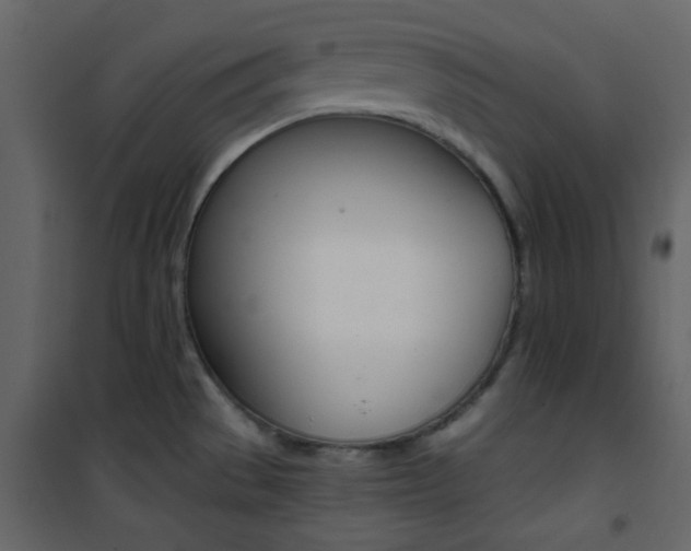 X0000101951529200807171121
