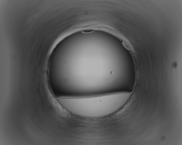 X0000101951530200807171121