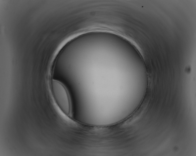 X0000101951531200807171121