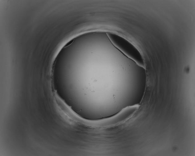 X0000101951532200807171121