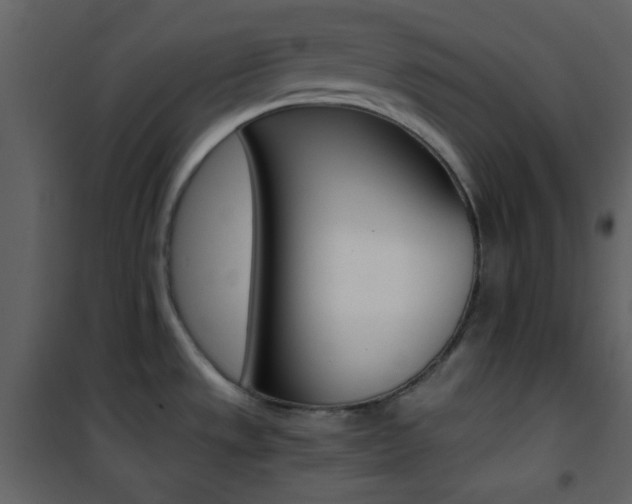 X0000101951533200807171121