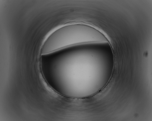 X0000101951534200807171121