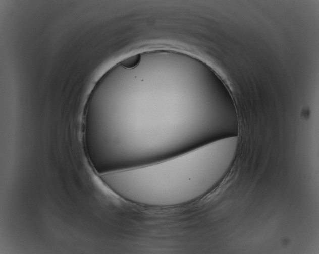 X0000101951535200807171121