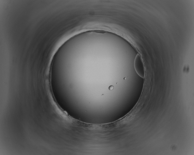 X0000101951536200807171121