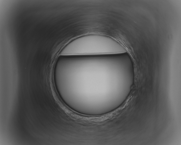 X0000101950001200807180712