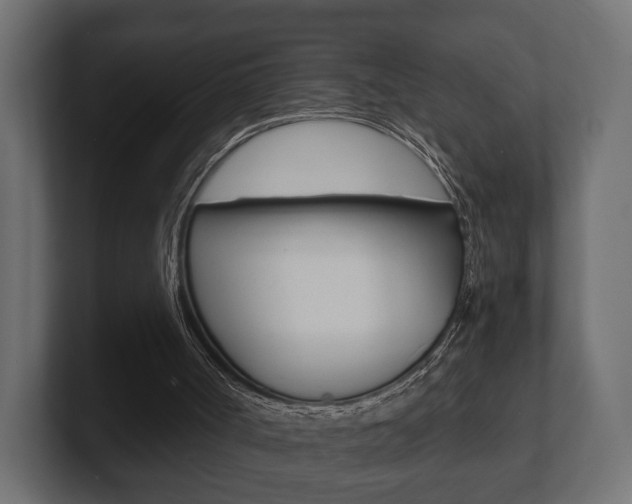 X0000101950002200807180712