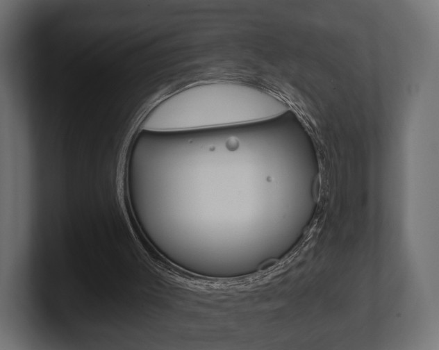 X0000101950003200807180712