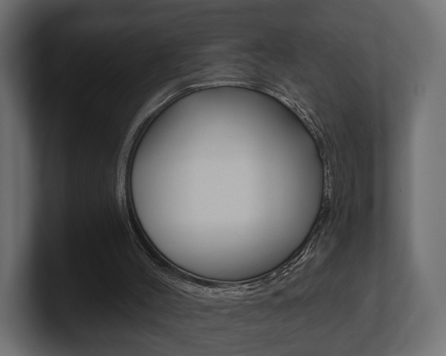 X0000101950004200807180712