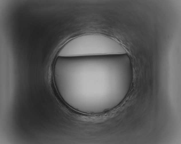 X0000101950005200807180712