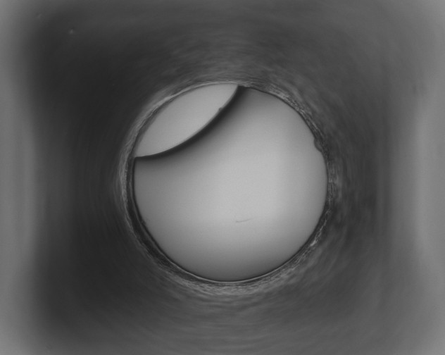 X0000101950006200807180712