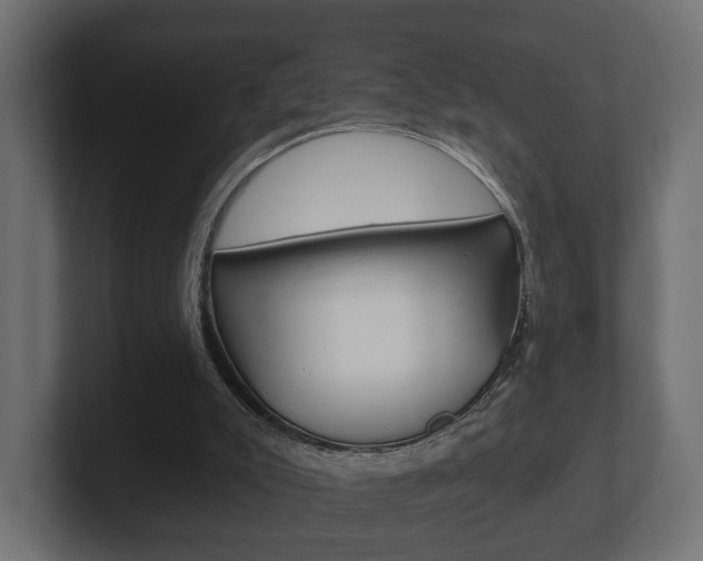 X0000101950007200807180712