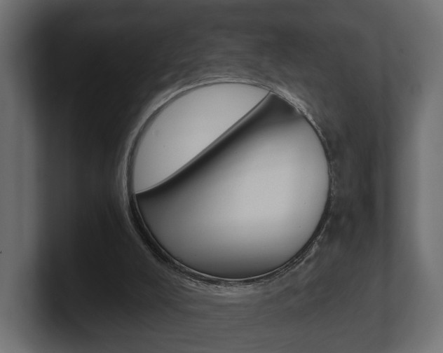 X0000101950008200807180712