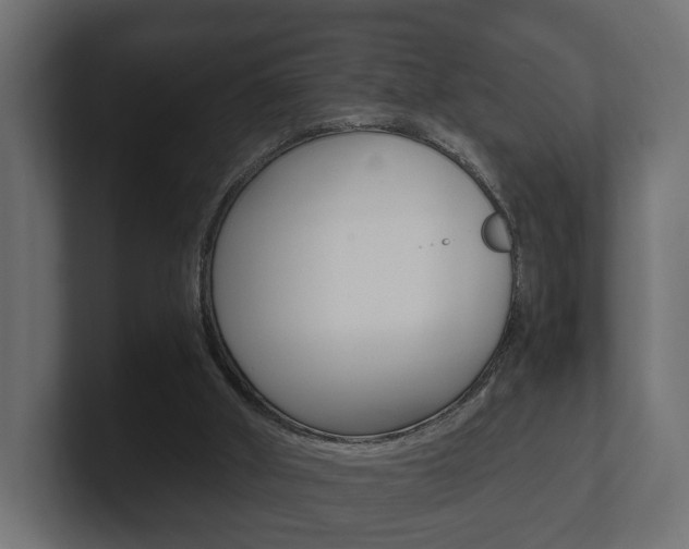 X0000101950010200807180712