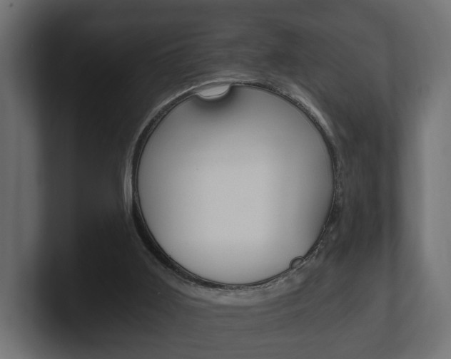 X0000101950011200807180712