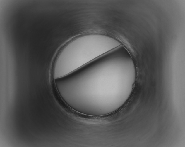 X0000101950012200807180712