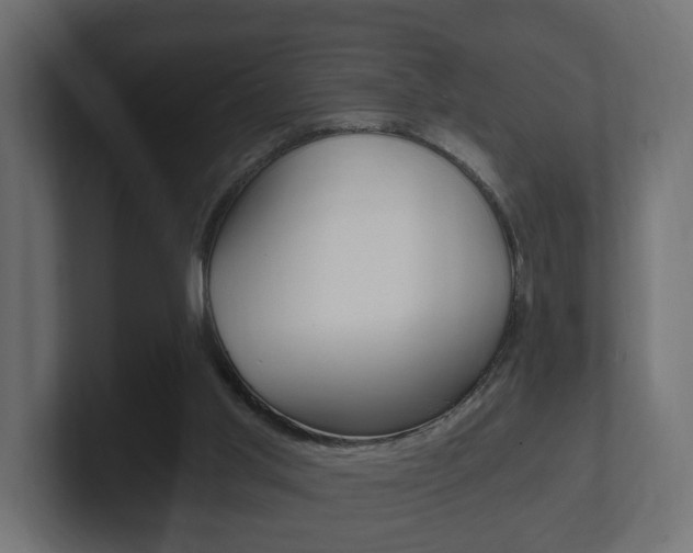 X0000101950013200807180712