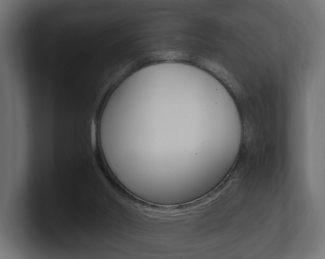 X0000101950014200807180712