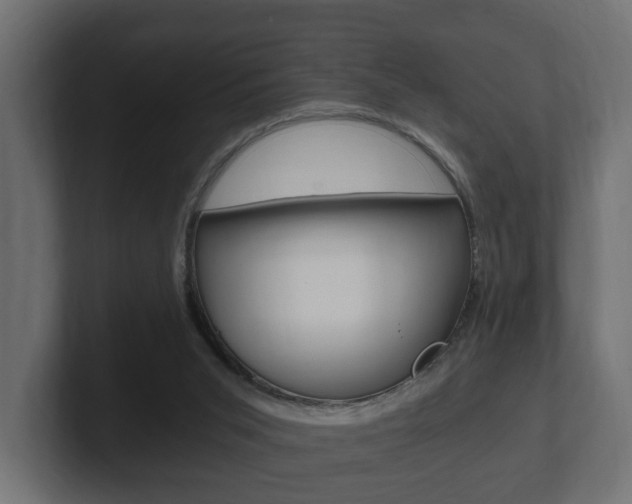 X0000101950015200807180712