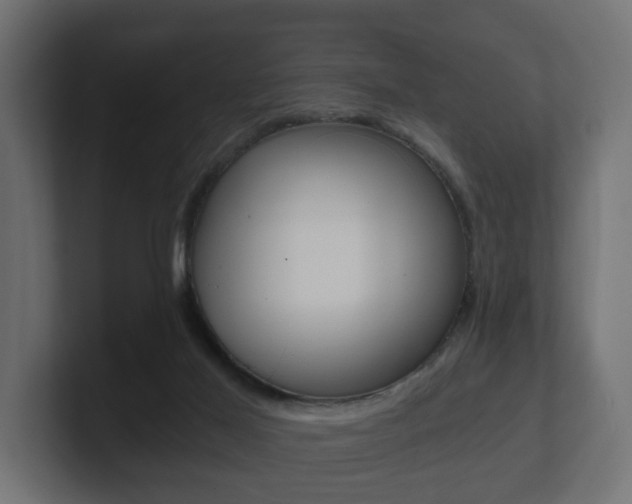 X0000101950021200807180712