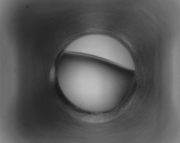 X0000101950024200807180712