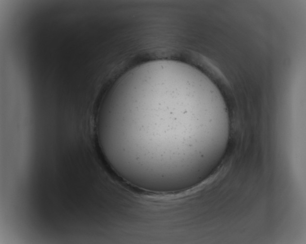 X0000101950025200807180712