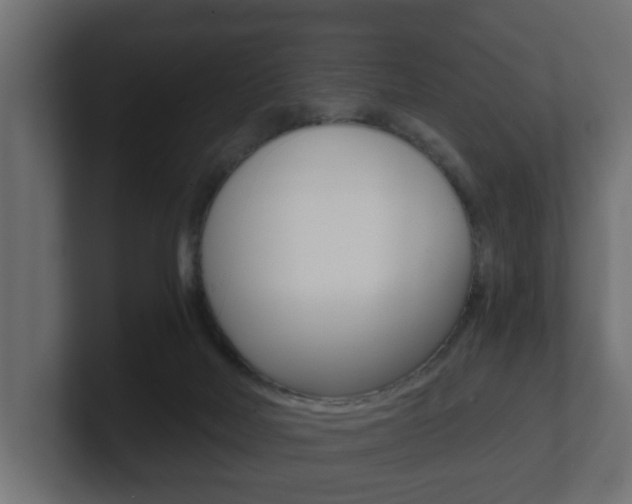 X0000101950026200807180712