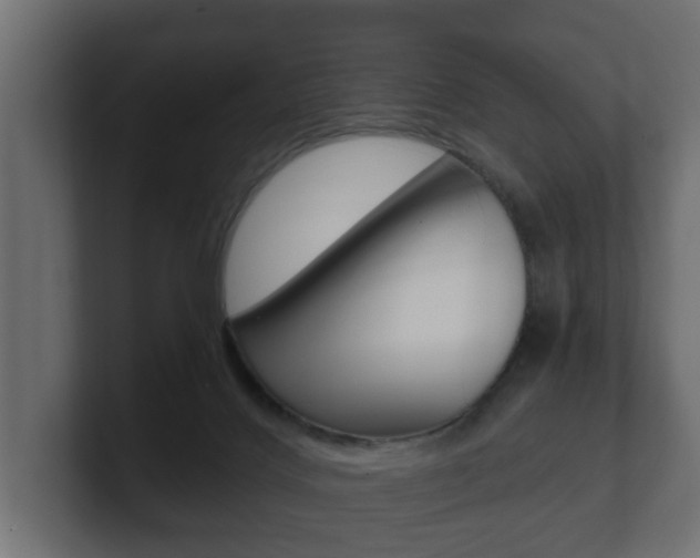 X0000101950028200807180712