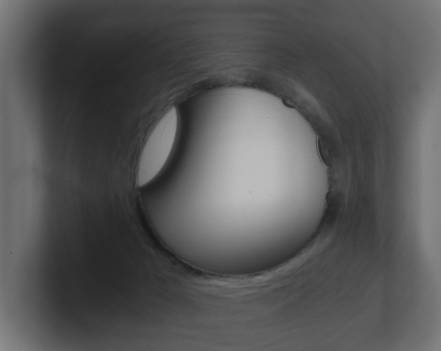 X0000101950029200807180712