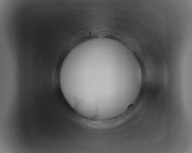 X0000101950030200807180712