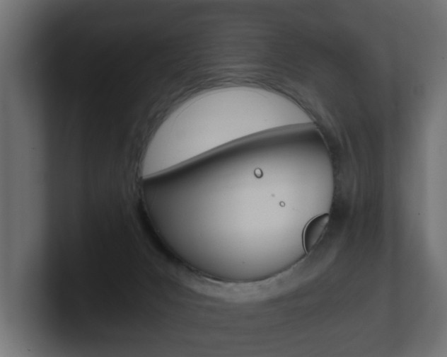 X0000101950031200807180712