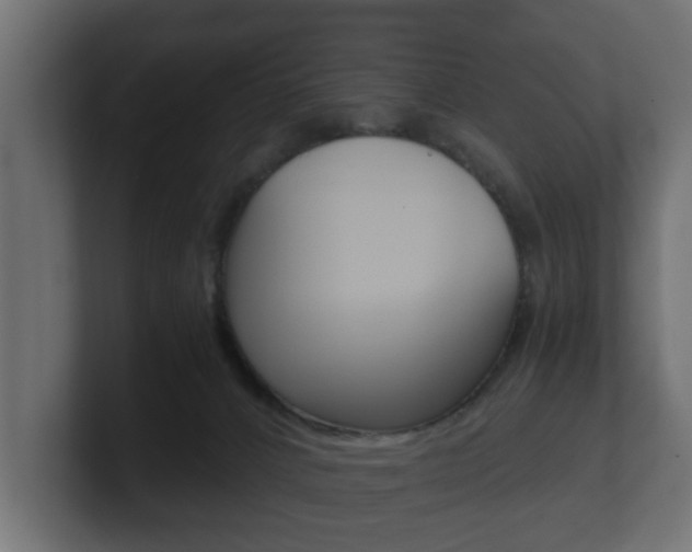 X0000101950032200807180712